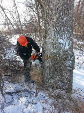 CK Tree Care team handling tree service project outdoors