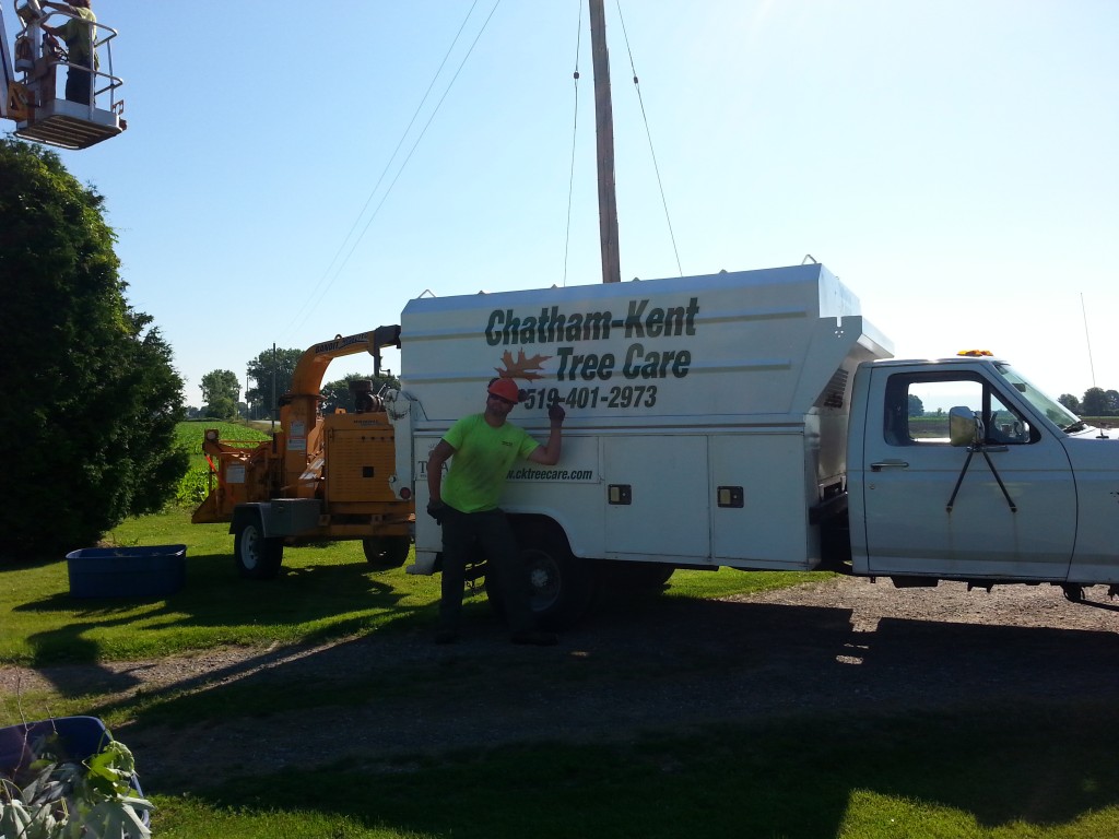 Tree removal equipment and crew working on a residential property
