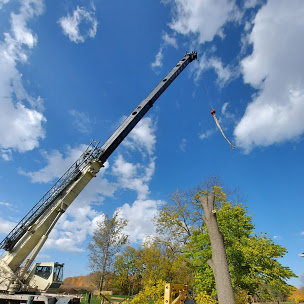 Emergency Tree Service Chatham-Kent