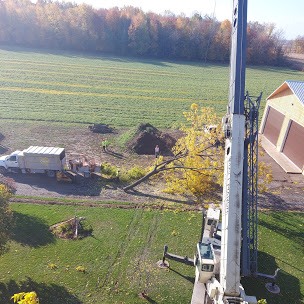 Emergency Tree Removal Chatham-Kent
