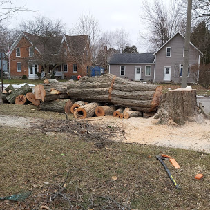 Tree Removal Service Chatham