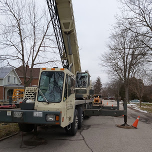 Tree Service Chatham-Kent