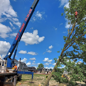 Tree Service Chatham