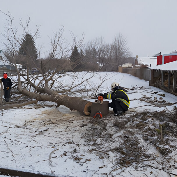 Yard Maintenance Chatham-Kent